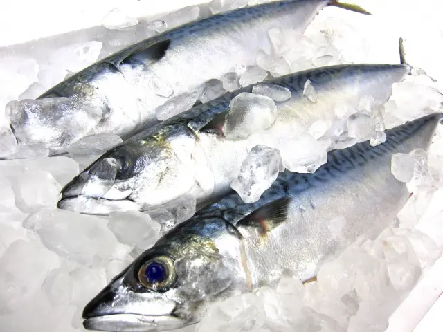 魚を捌く時は真水？塩水？食中毒を防ぐ正しい洗い方｜自宅で麹を食べる 