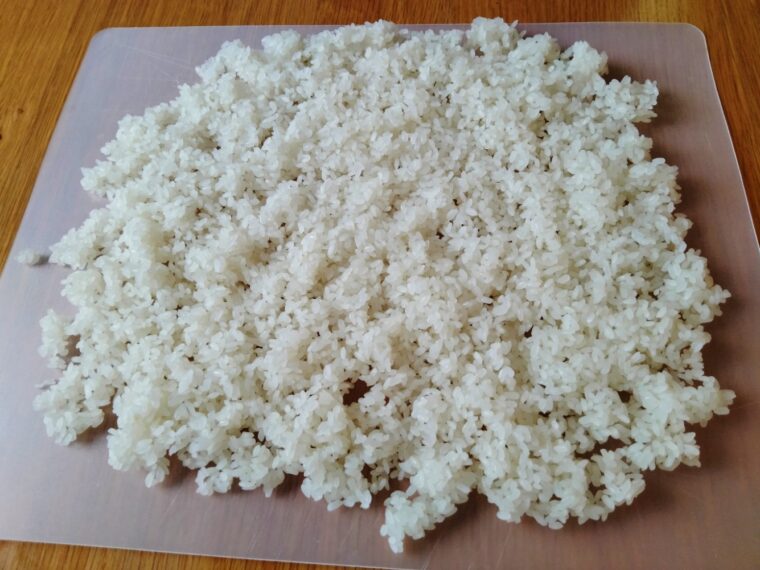 うすく広げた蒸し米