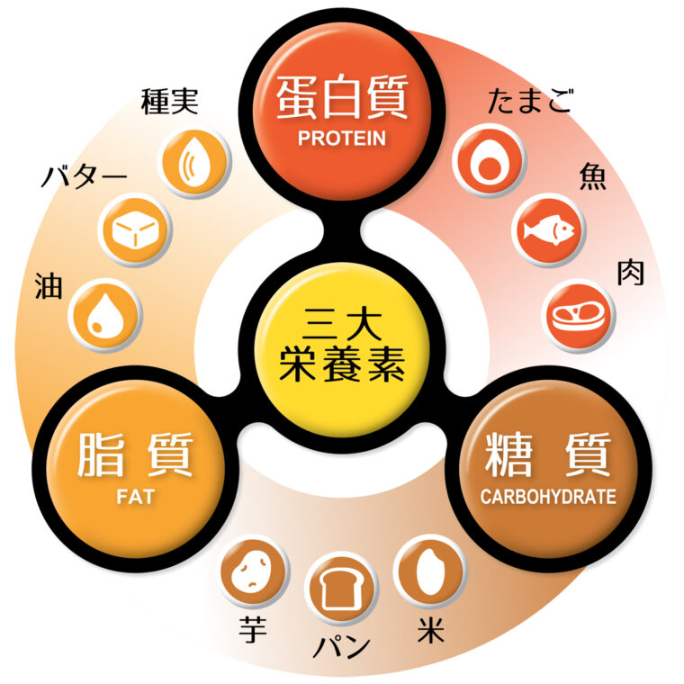 三大栄養素