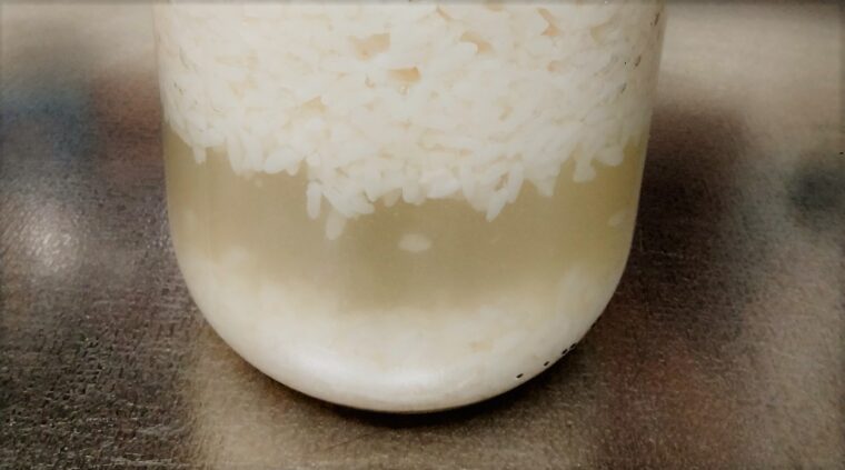 米が浮き上がってきた塩麹