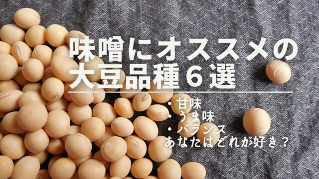 味噌にオススメの大豆品種６選【甘味型・うま味型・バランス型】