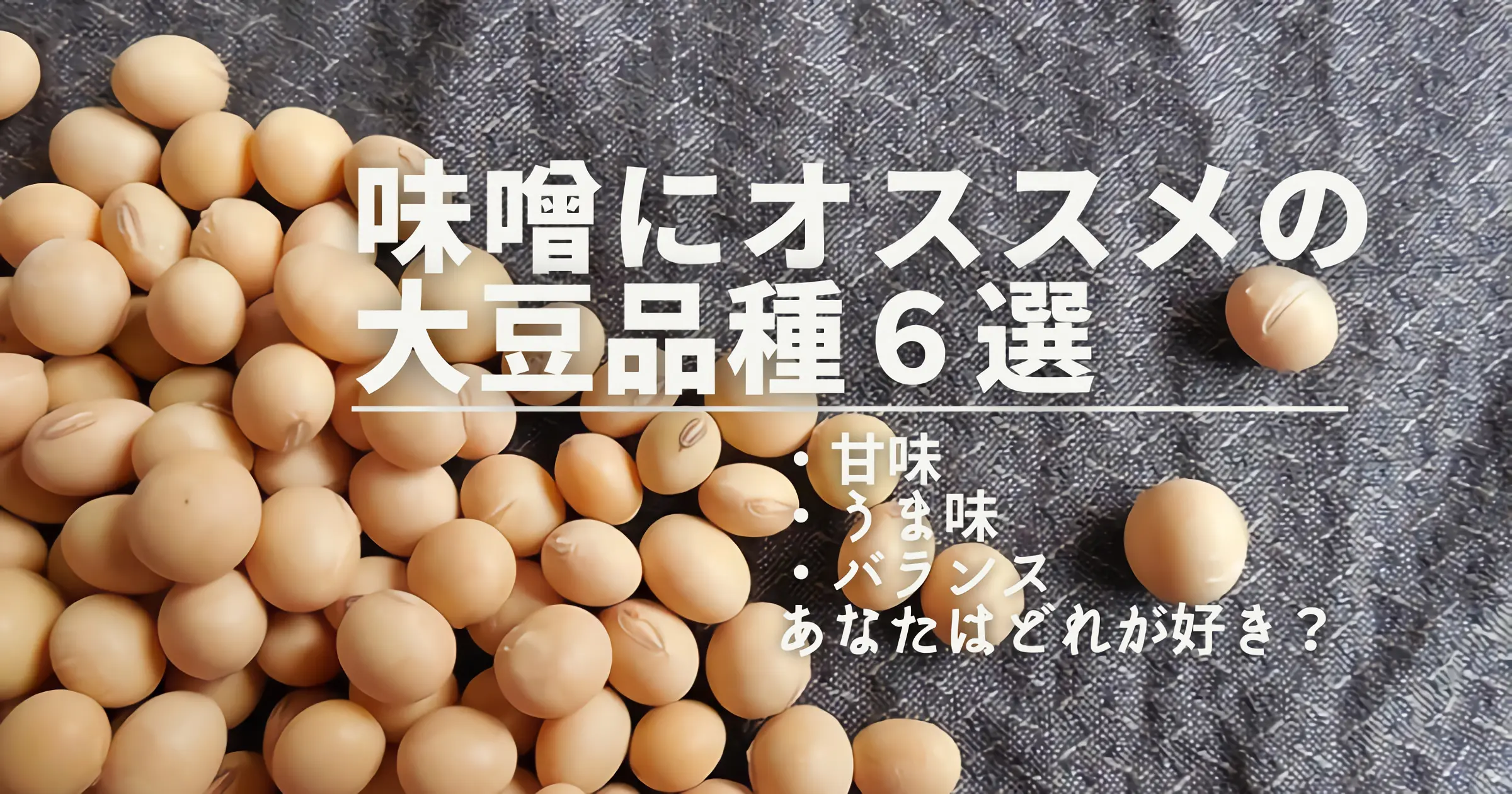 味噌にオススメの大豆品種６選【甘味型・うま味型・バランス型】｜スタコジブログ