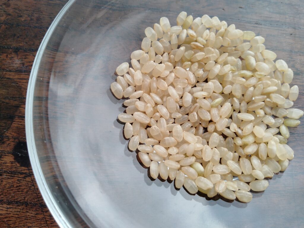 発芽玄米のアップ