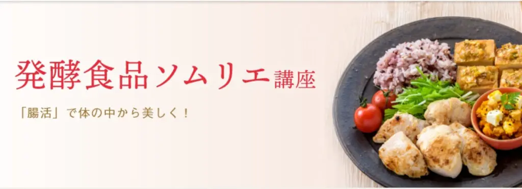 徹底比較】発酵資格どれがいい?腸活におすすめ資格7選と実際受講の感想！｜コジログ